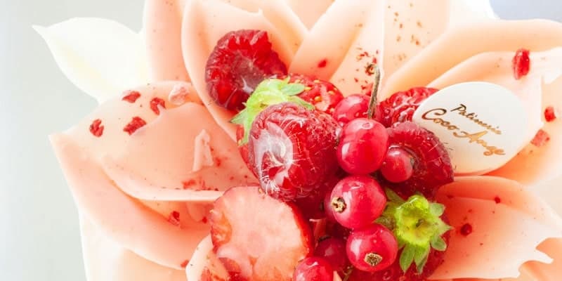 ココアンジュ Coco Ange